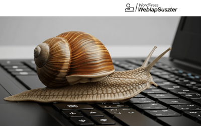 Miért lassú a WordPress oldalad és miért kerül ez többe, mint gondolnád?